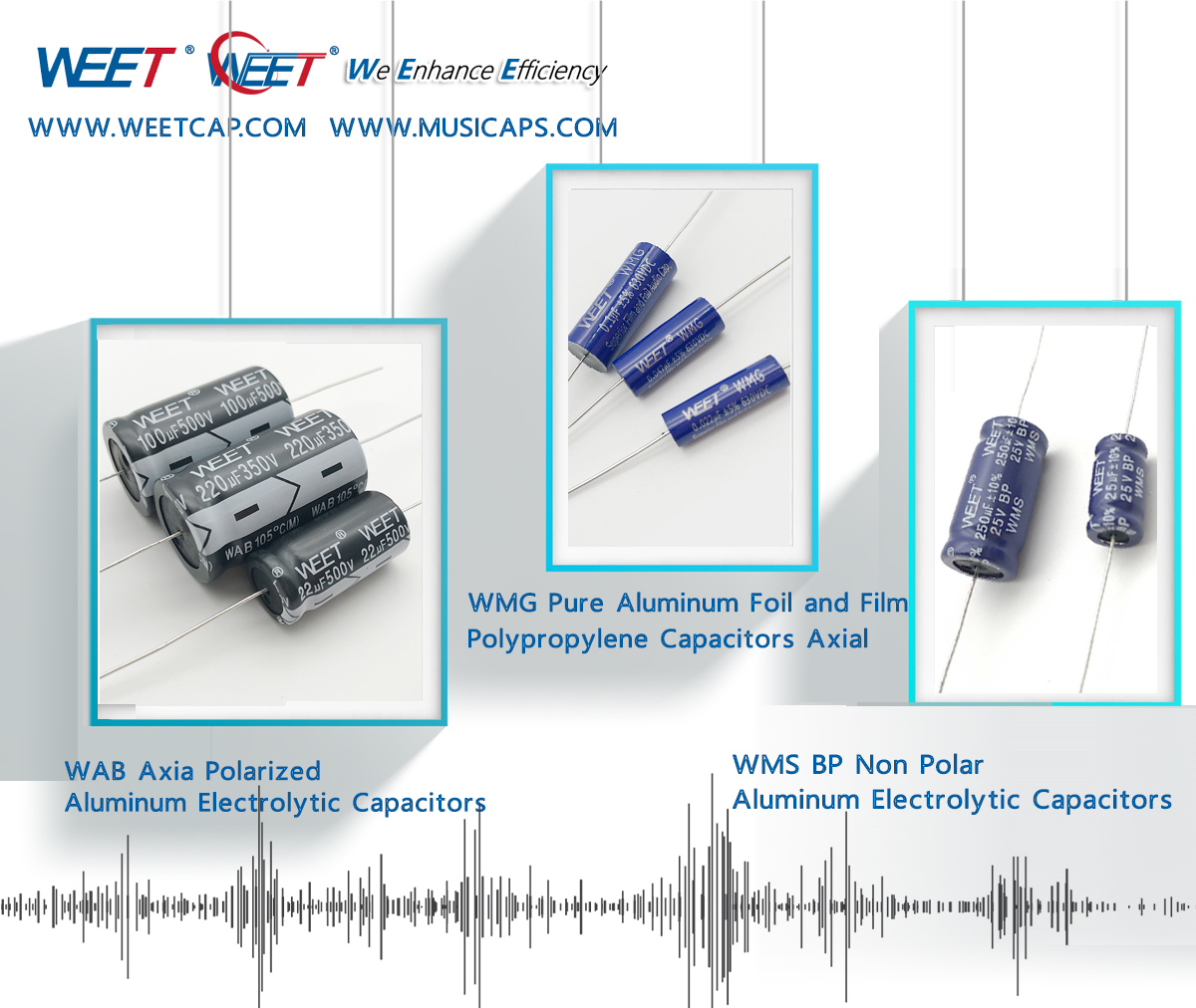 WEET HiFi Audio Aluminum Foil Capacitor Non-Polar and Polarized 500V Aluminum Electrolytic Axial Capacitors