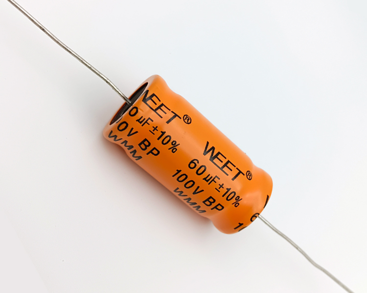 WMM 60uF 100V BP Alum.Elec.Cap.